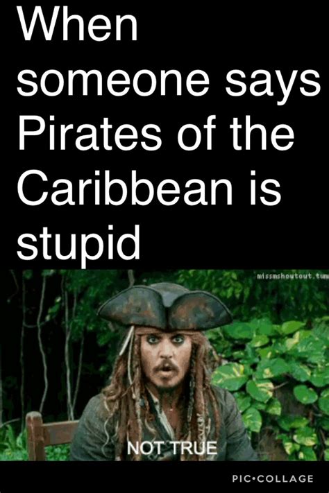 Find and save pirates of the caribbean memes | a trilogy of films documenting the tales of one captain jack sparrow and his crew of wild yet loyal miscreants, and their quest to pillage the seas of the spanish main. If ANYONE says Pirates of the Carribean is stupid, we will fight!! | Captain jack sparrow ...