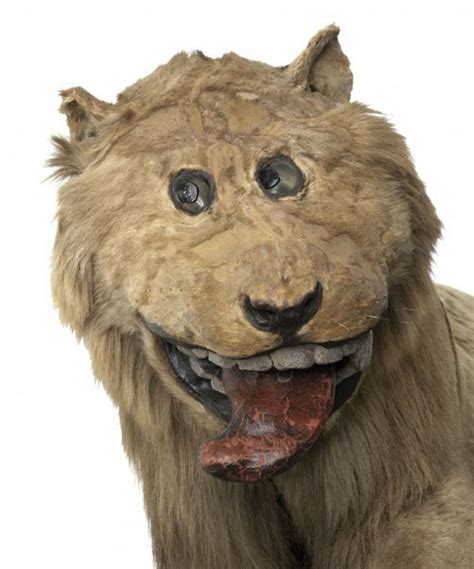 Terrible Taxidermy From When Exotic Animals Were Unknown