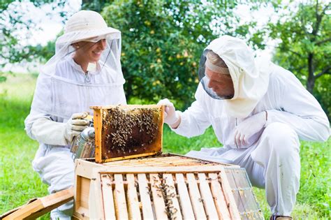 Beginning Beekeeping Supplies What You Need To Get Started Complete