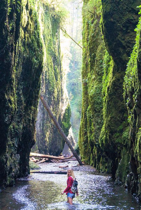10 Amazing Waterfall Hikes In Oregon Oregon Travel Oregon Road Trip Cool Places To Visit