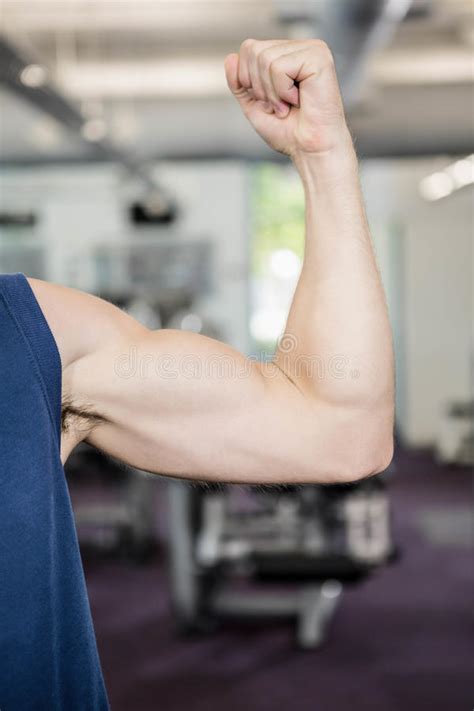 Close Up Of Young Man Showing Biceps Stock Image Image Of Athlete