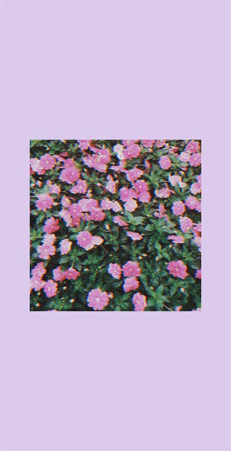 1920x1080px 1080p Free Download Aesthetic Flowers Lofi Hd Phone