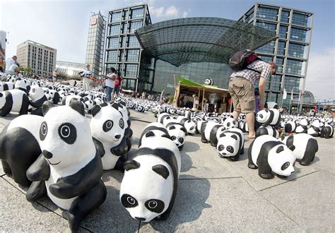Panda Monium In The City Of Taipei Lost In Internet