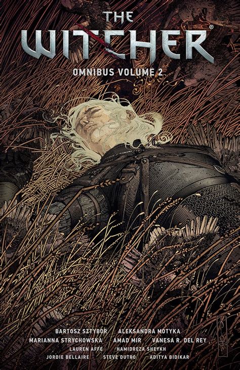 The Witcher Omnibus Volume 2 Announced By Dark Horse Comics Ign