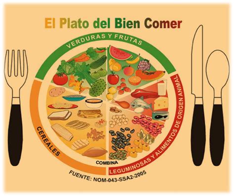 Sint Tico Foto Actividades Para Trabajar El Plato Del Buen Comer En Preescolar Mirada Tensa