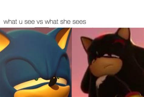 What Shadow See Vs What Sonic Sees What You See Vs What She Sees Know Your Meme