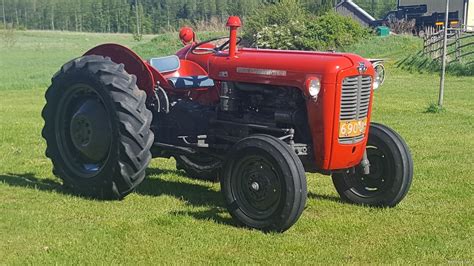 Tyres are good , but old. Massey Ferguson 35 traktorit, 1961 - Nettikone