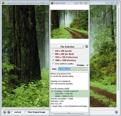 Download Tinypic For Pc Windows