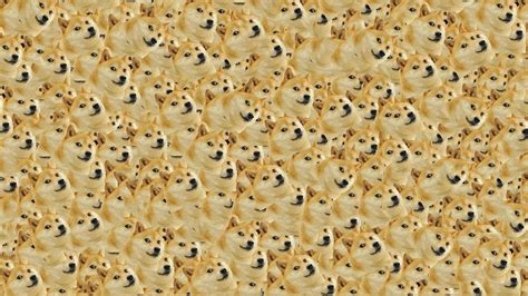 Doge Wallpaper 1920x1080 87 Images