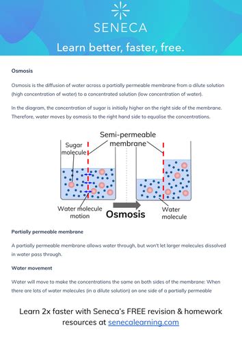 When molecules move in and out of a cell to achieve the . Osmosis Definition Help Sheet | Teaching Resources