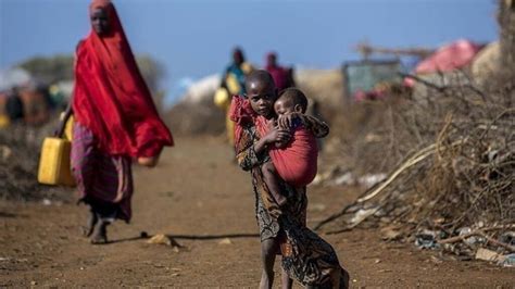 Rdc Insécurité Alimentaire Plus De 25 Millions De Personnes Menacées De Famine Db Medias