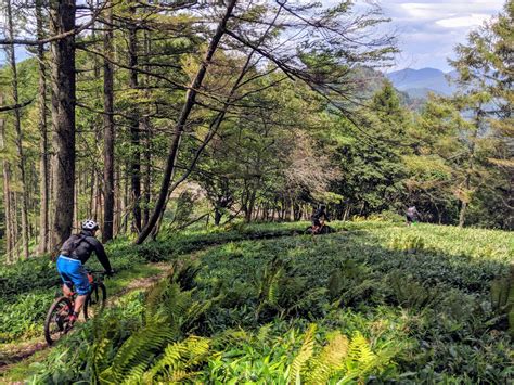 13 Days Exploring Japans Mountain Bike Trails And Cuisine