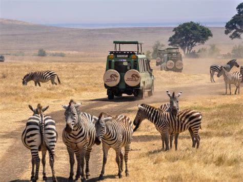 African Safaris And Tours 1 Tour Operator Safari Ventures
