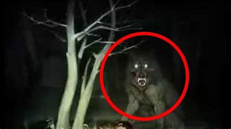 Top 10 Werewolf Caught On Camera And Spotted In Real Life Youtube