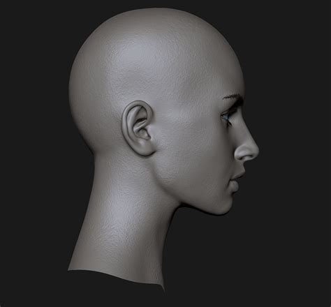 Realistic Head Cute Girl 3d Model In Woman 3dexport
