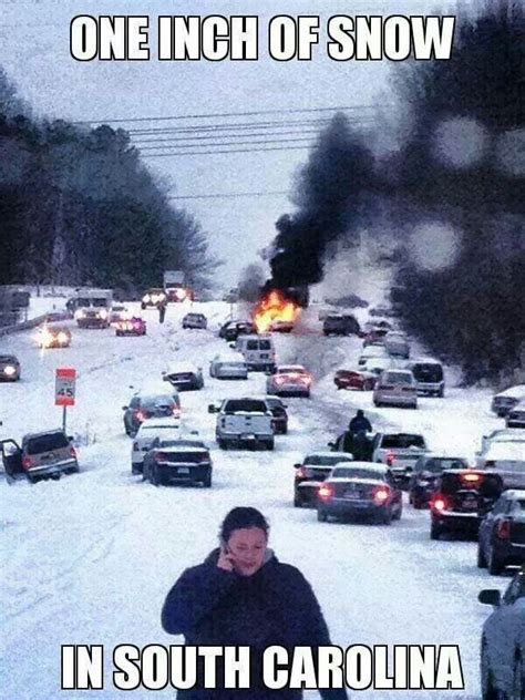Funny Pics 1 Inch Of Snow In South Carolina Laugh Until You Cry