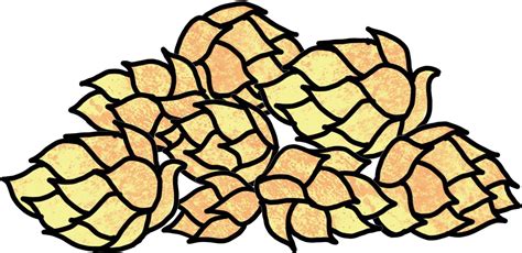 Download Hops Bere Brewery Hops Clipart 1656380 Pinclipart