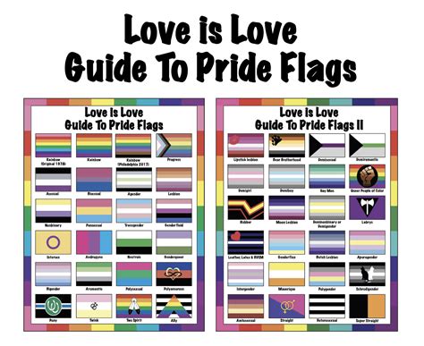🤴🏽👸🏽🏳️‍🌈 love is love guide to pride flags i and ii lgbtq flags rainbow flags t classroom