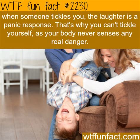 10 interesting and funny facts you probably didn t know faverous your faverous stories on
