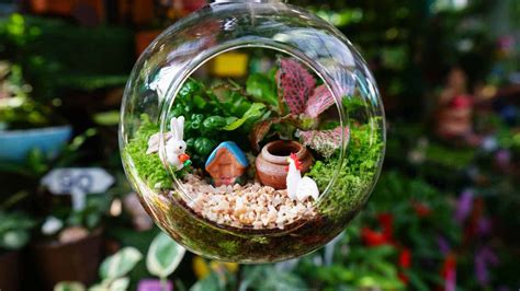 Best Terrarium Plants For A Lovely Indoor Garden Of Any Size