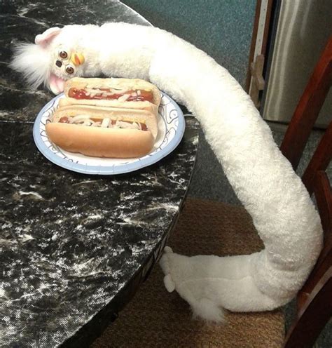 Cursed Hotdog Images