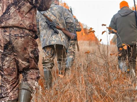 3 Benefits Hunting Has On The Environment And Economy