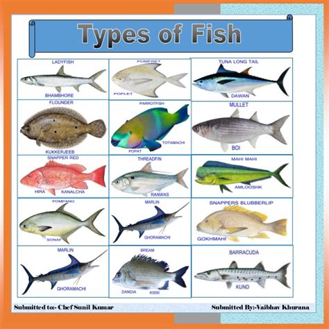 Types Of Fish