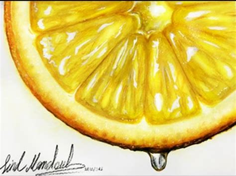 Set realistic ripe tropical fruits half and vector. Realistic Lemon Slice WaterColor Paint l SPEED DRAWING ...