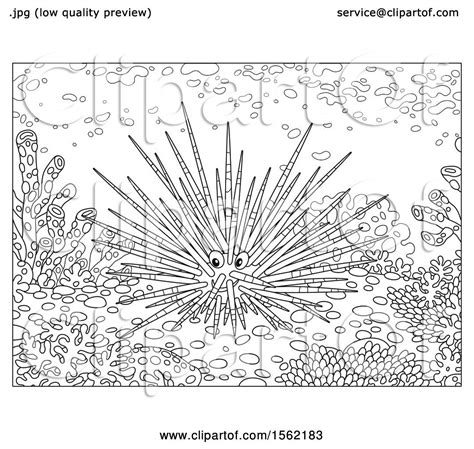 Clipart Of A Lineart Sea Urchin At A Reef Royalty Free Vector