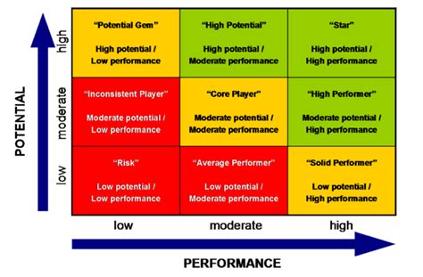 Using The 9 Box Grid With The Performance Values Matrix Excel