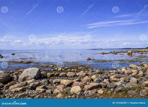 Rocky Beach Coast White Sea The Republic Of Karelia Stock Image