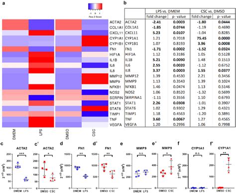 Gene Expression Of Literature Based Copd Relevant Genes Indicated Cell