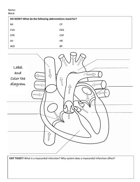 Structure Of The Heart Worksheet Answers