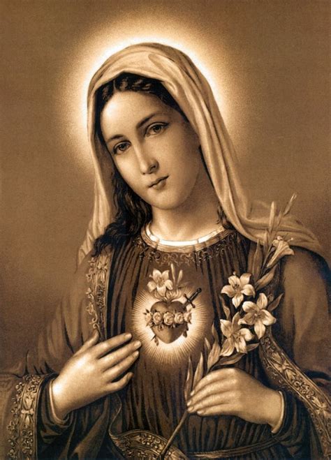 The Feast Of The Immaculate Heart Of Mary 24 June 2017 The Saturday