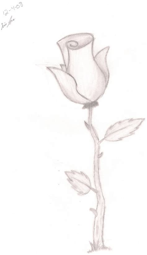 A Rose By Any Other Name By Thenewisis On Deviantart