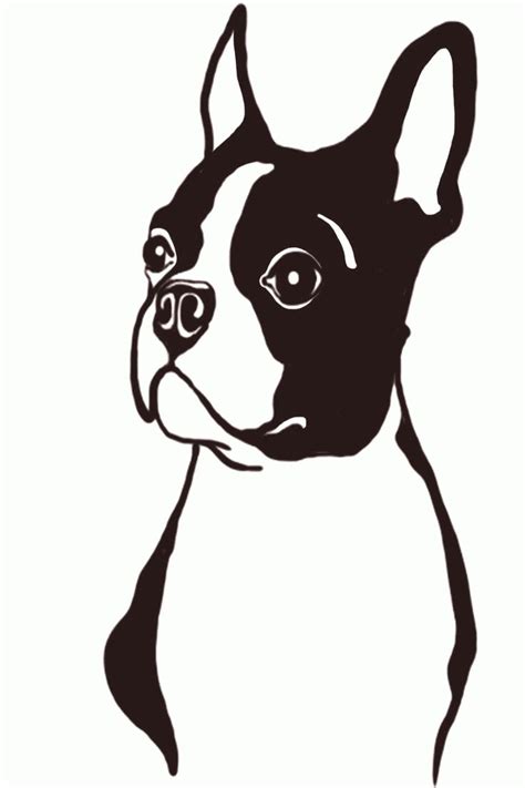 Boston Terrier 3 Boston Terrier Art Illustrations Boston Terrier Art