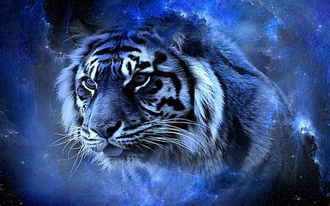 All of the animated wallpapers bellow have a minimum hd resolution (or 1920x1080 for the tech guys) and are easily downloadable by clicking the image and saving it. Real Tigers Wallpaper 3D Full HD 4K free | Top Model Hairstyle