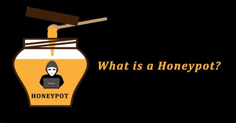 What Is A Honeypot And How It Improves Network Security