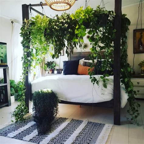 Boho Canopy Bed Plants In 2020 Bedroom Plants Home Decor Bedroom Decor
