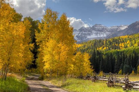 The Best Times And Places To View Fall Foliage In Colorado Artofit