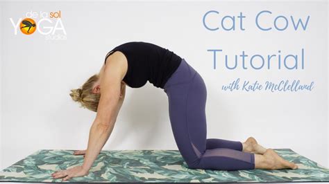 Cat Cow Yoga Pose De La Sol Yoga Studios Owner Katie Mcclelland Youtube