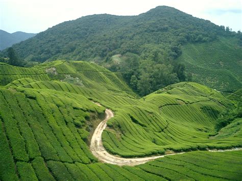 It is a city that is culturally rich and also has a number of historical sites for visits. Malaysia Attractions for Holidays: malaysia tourist places
