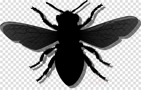 Bee Cartoon Clipart Bee Silhouette Beehive Transparent Clip Art