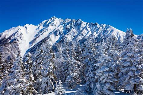 4k Nagano Japan Winter Mountains Snow Spruce Hd Wallpaper Rare