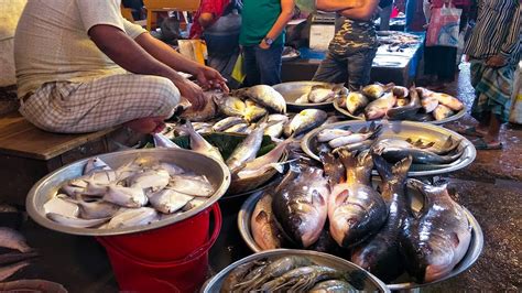 Amazing Live Fish Cutting Skills In Fish Market 2019 Fish Market In