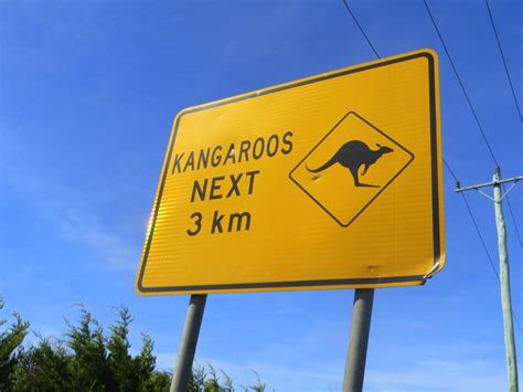 Australia Signs Stop The Car • Travel Tales Of Life