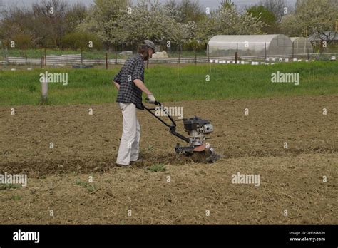 A Man Plows A Tiller In The Garden Spring Cultivation Of The Garden