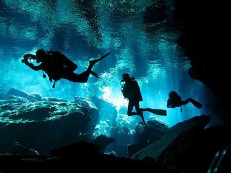 Divers Exploring Garden Of Eden Cenote Mayan Riviera Mexico By Viiny