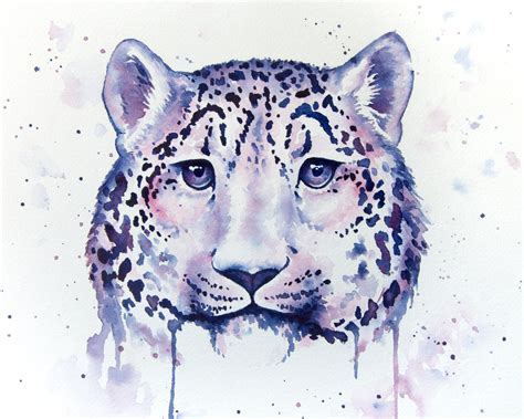 Snow Leopard Watercolor At Explore Collection Of