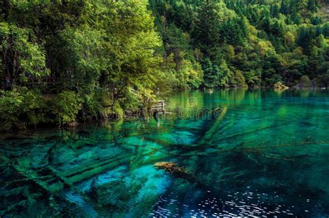 Lake And Trees In Jiuzhaigou Valley Sichuan China Stock Photo Image